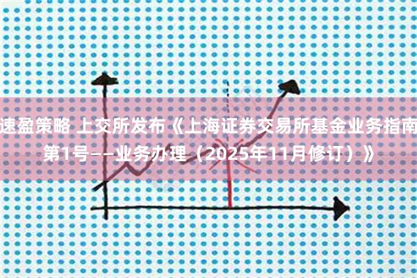 速盈策略 上交所发布《上海证券交易所基金业务指南第1号——业务办理（2025年11月修订）》