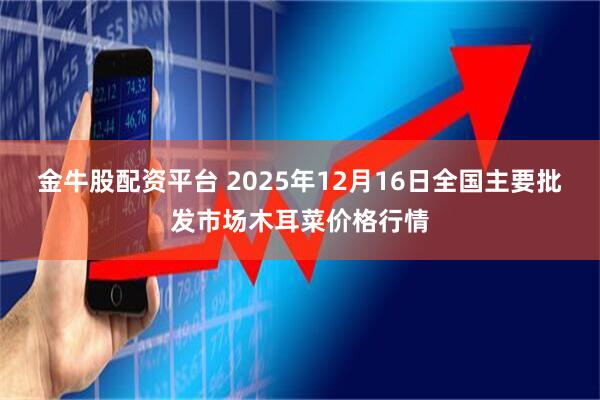 金牛股配资平台 2025年12月16日全国主要批发市场木耳菜价格行情