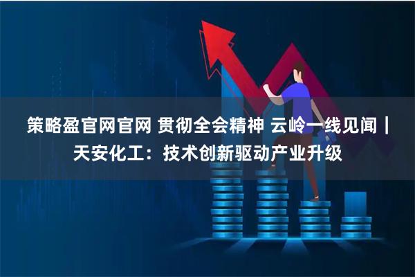 策略盈官网官网 贯彻全会精神 云岭一线见闻|天安化工:技术创新驱动产业升级